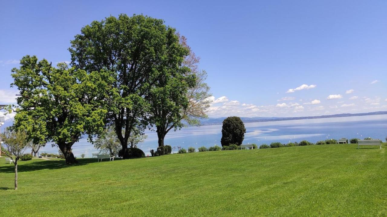 Front Lake Amazing View Манерба дел Гарда Екстериор снимка